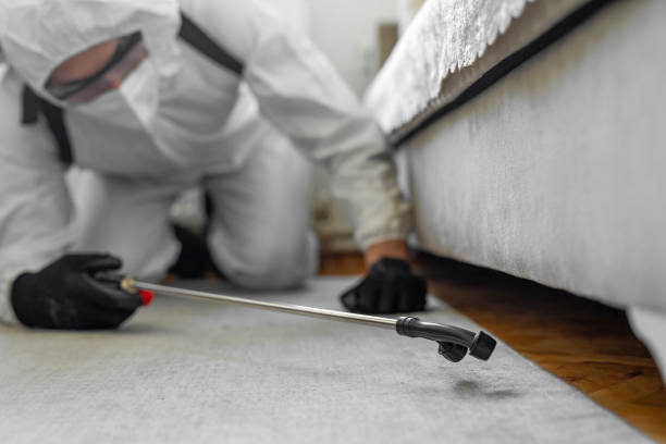 Professional Termite Control technician working in Raintree Plantation, MO